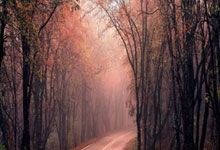 已不在意去年误判，梅州想在上海拿分回家.