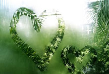 V体育官方网站:季后赛“完全体”阵容要来了!广东男篮跟队记者:“伤员归位”.