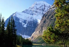 多点开花!北京半场3人得分上双&周琦14分6篮板,北京次节狂轰42分.